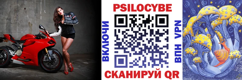 Галлюциногенные грибы Psilocybe  гидра tor  Суздаль 