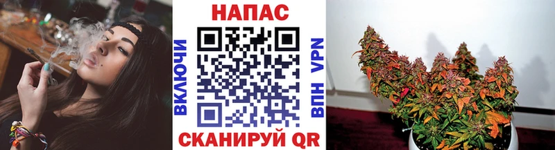Шишки марихуана Amnesia  магазин продажи наркотиков  мега сайт  Суздаль 